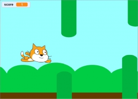 飞猫